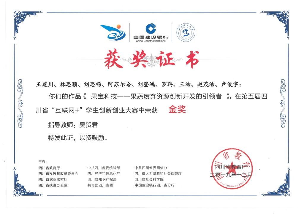 省级互联网＋金奖（2019）